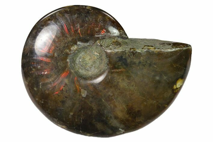 Red Flash Ammonite Fossil - Madagascar #151729